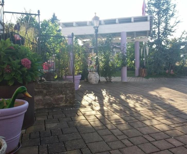 Villa Lila 좀머라흐 외부 사진